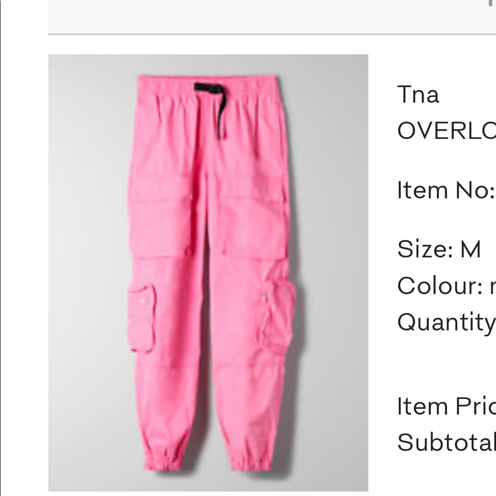 Aritzia overload cargo pant